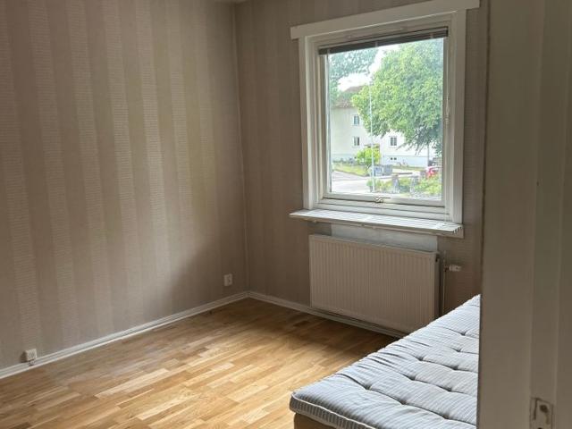 Hedvigsborgsgatan, Borås