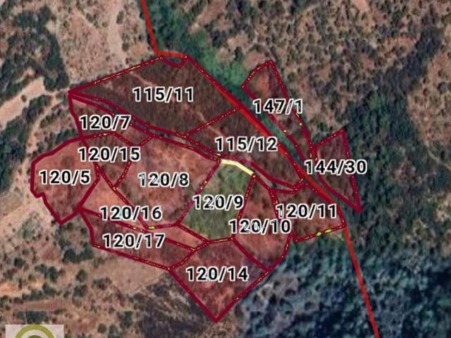HEDEF'ten Muğla Milas Hasanlar 2.036m2 Kadastral Yol Üstü Tarla