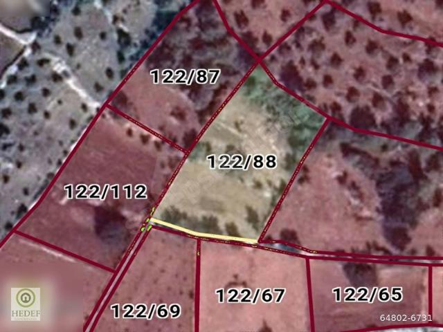 HEDEF'ten Muğla Milas Söğütcük Satılık 2.786m2 Yolüstü Zeytinlik