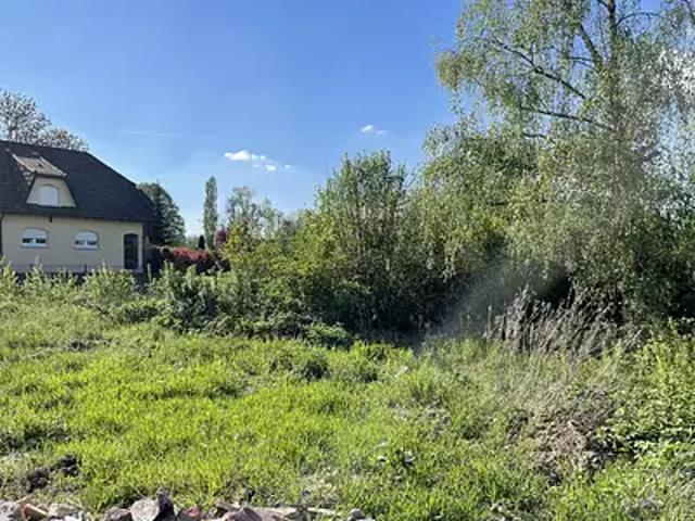 Hégenheim 68220 Achat / Vente terrain
