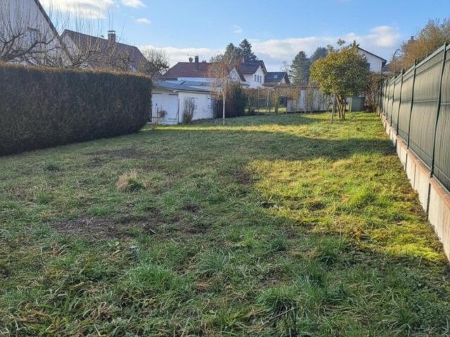 Heidwiller Vente Terrain 68
