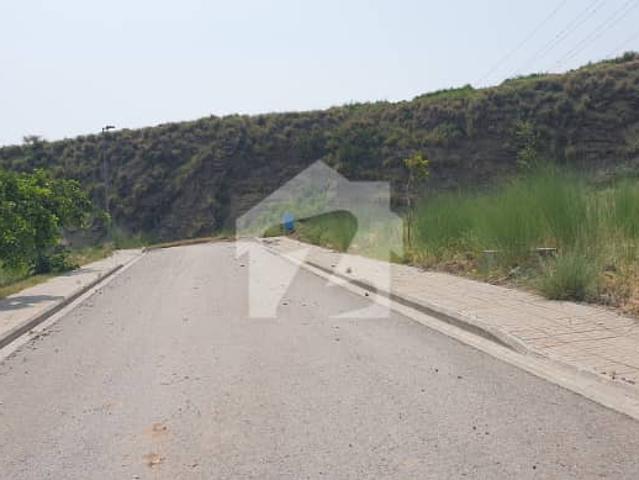 Height Location, Walking From Central Park 1 Kanal Plot For Sale