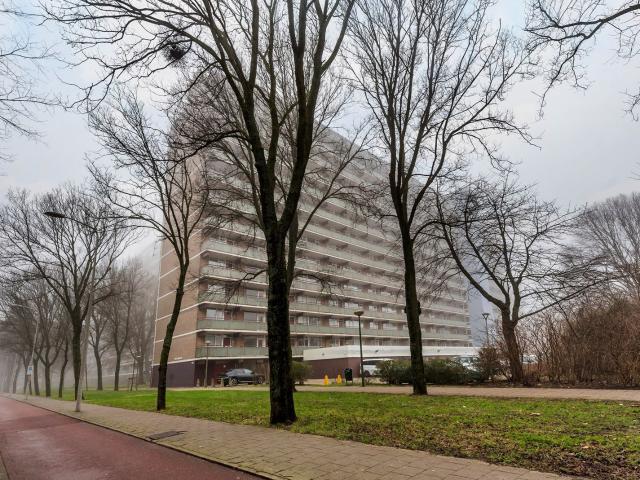 Heiloostraat, 31, 2547KA, s Gravenhage, Zuid Holland 2547KA