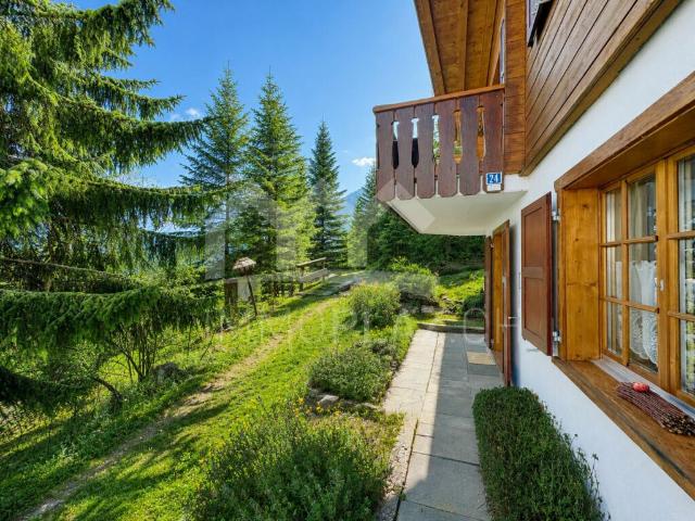 Heimeliges Chalet | sehr ruhige Lage | Gehdistanz zur Skipiste