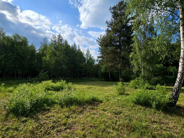 Hektarowa 1 089 m², Częstochowa