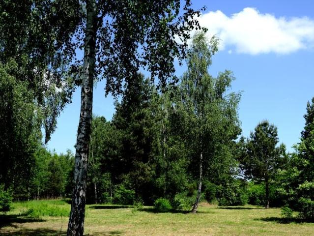 Hektarowa 1 089 m², Częstochowa