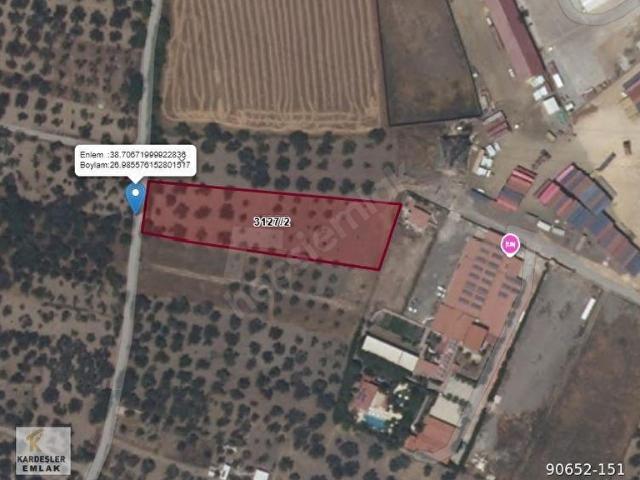 HELVACI'DA ÇANAKKALE ASFALTINA 500 METRE SATILIK ZEYTİNLİK