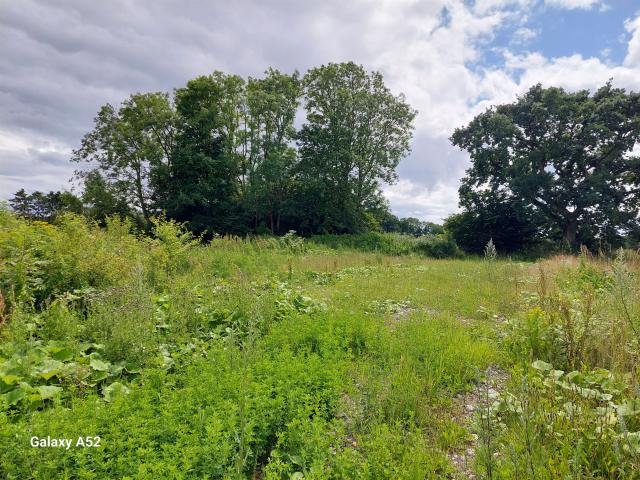 Vejstruprød Landevej 12 m.fl