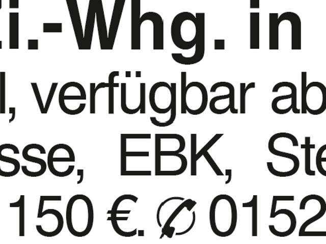 Helle 4 Zi. Whg. in Erbach