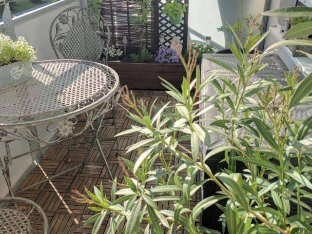 Helle 2 Raum Wohnung in Ansfelden