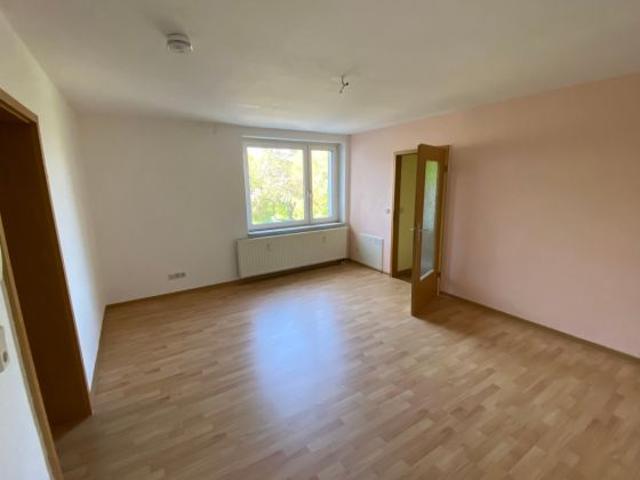 Helle 2 Raum Wohnung in Reichenbach Hochparterre