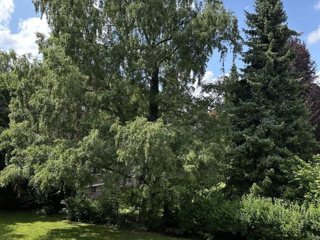 Helle 2,5 Zimmer Wohnung mit großem Balkon in Stadtpark Nähe