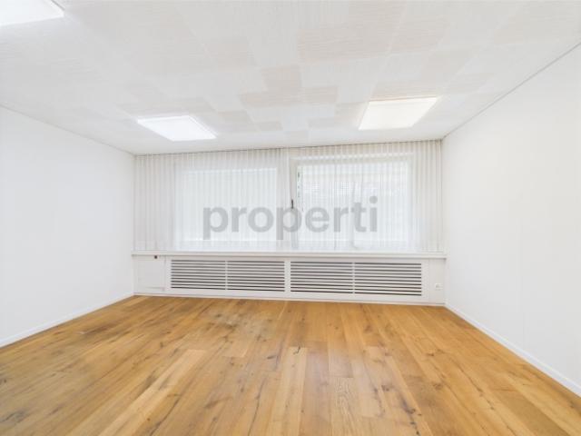 3 Zimmer Wohnung / Gewerbefläche in Trimbach
