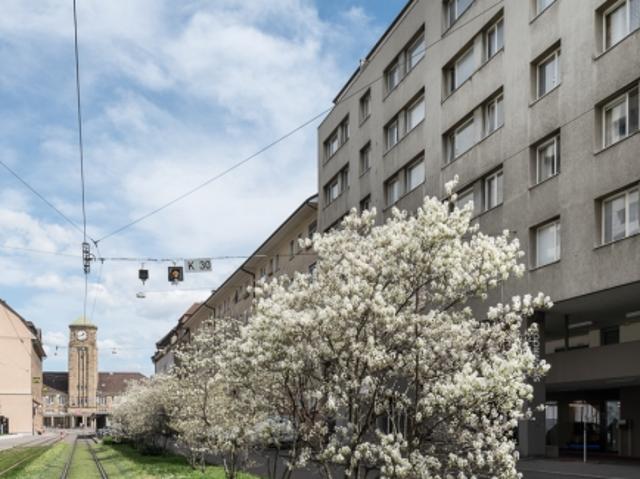 Helle 3 Zimmer Wohnung in zentraler Lage in Basel