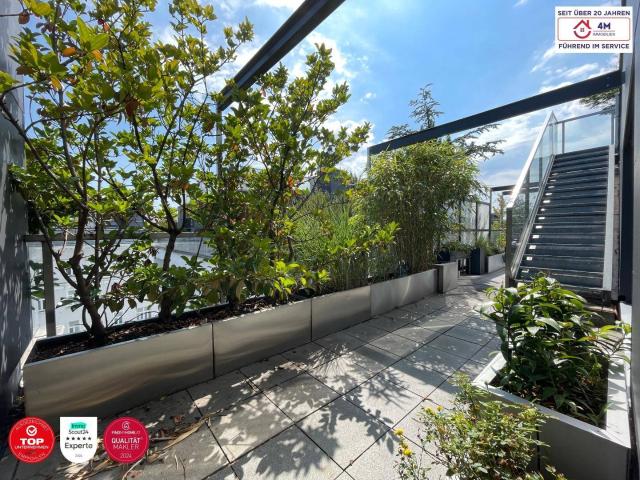 Helle 3 Zimmer Penthouse Wohnung mit Terrasse in TOP Lage inkl. 2x Garagenplätze
