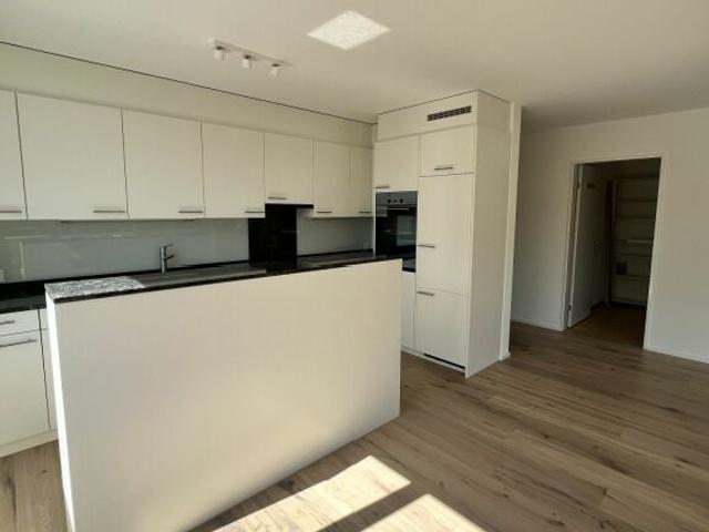 Helle 3.5 Zimmer Wohnung mit Bergsicht an ruhiger Lage