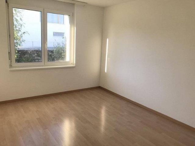 Helle und grosszügige Wohnung mit Seeblick