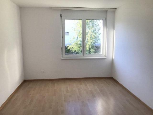 Helle und grosszügige Wohnung mit Seeblick