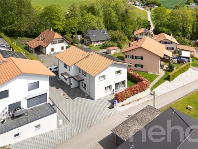 Helle und moderne Villa im Herzen von Ursy