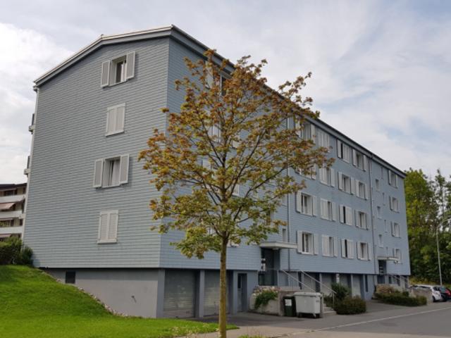 Helle Wohnung an ruhiger Wohnlage in 6014 Luzern