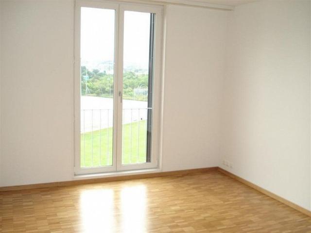 Helle Wohnung in Seebach gesucht?