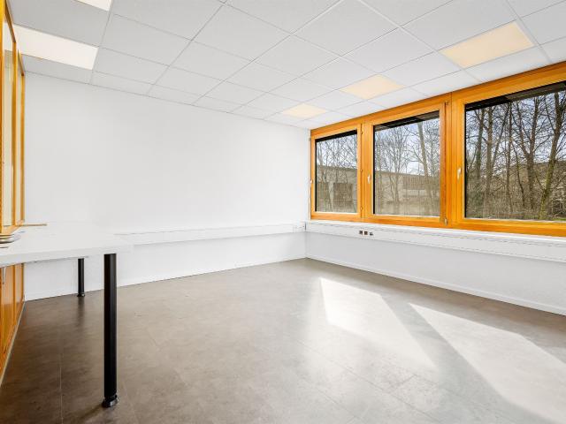 Helle Büro /Praxisräumlichkeiten | dreamo. Ch