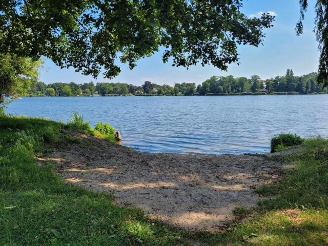 Helle freie zentrumsnahe Erdgeschosswohnung in Toplage