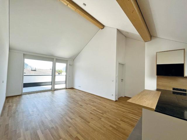 Helle Penthouse Wohnung mit Dachterrasse in Erpfendorf / Bezirk Kitzbühel
