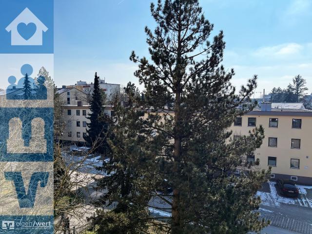 Helle, renovierungsbedürftige 4 Zimmer Wohnung in bester ruhiger Lage