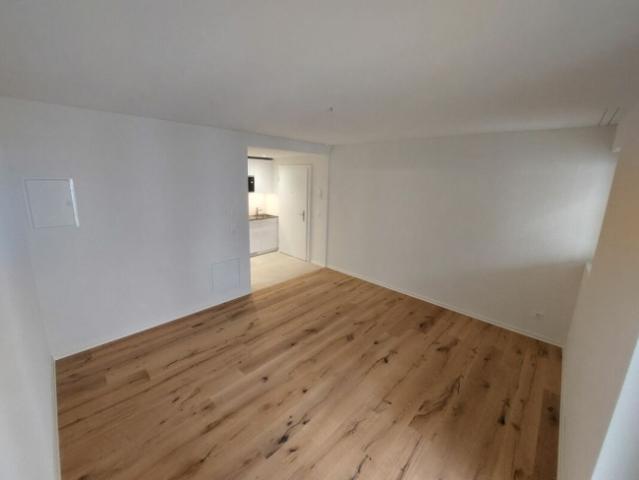 Helle Studio Neubauwohnung beim Escher Wyss Platz Erstvermietung