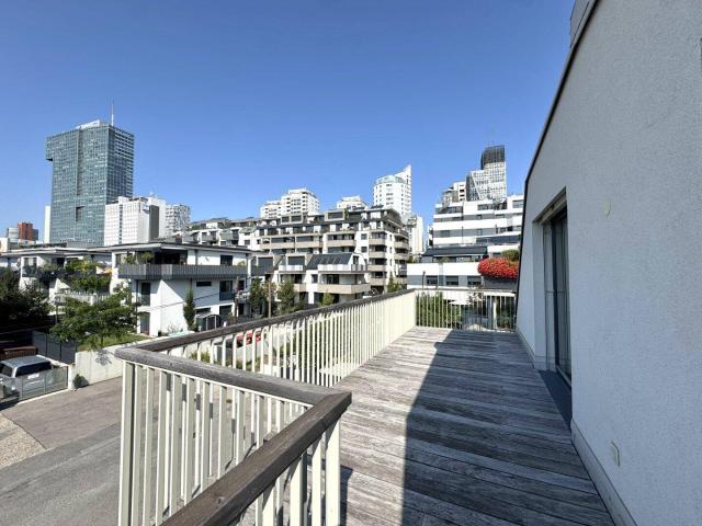 Heller Wohntraum an der Alten Donau Großzügige Terrasse Ruhelage in einer Sackgasse