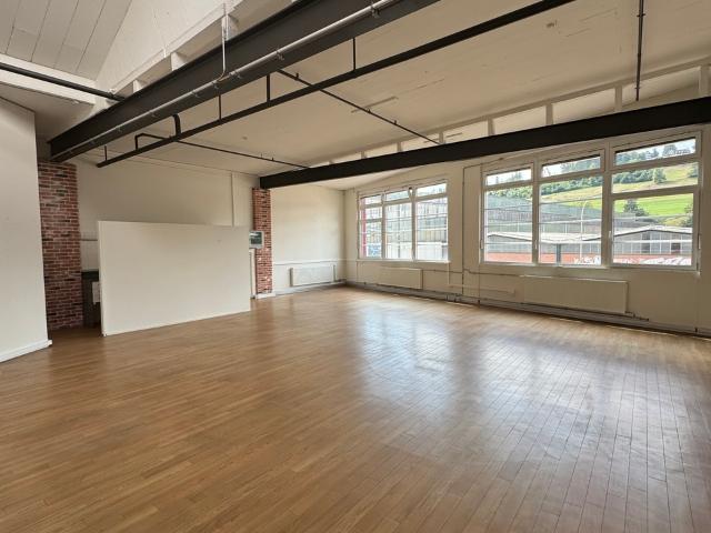 Heller und grosszügiger LOFT Büro oder Gewerberaum
