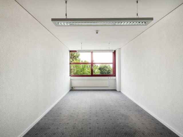 Helles Büro in Staad SG
