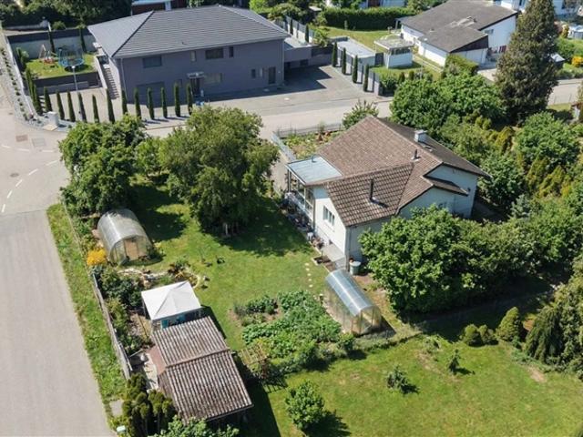 Helles freistehendes Haus in grüner Umgebung