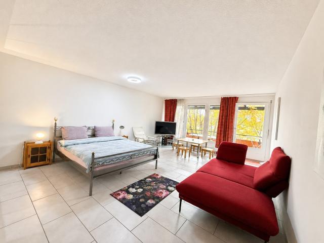 Helles, modernes Studio mit Balkon und Gartenzugang | Minuten von Zürich HB