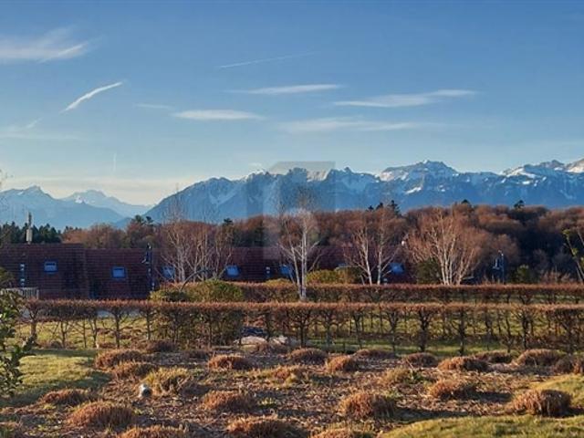 HELLIGKEIT, ALPINE AUSBLICKE UND KOMFORT