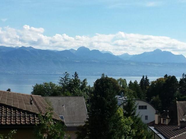 Hervorragende 3.5 Zimmerwohnung mit Terrasse und schöner Aussicht