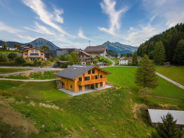 Hervorragendes Duplex von 5,5 Zimmern sofort kostenlos