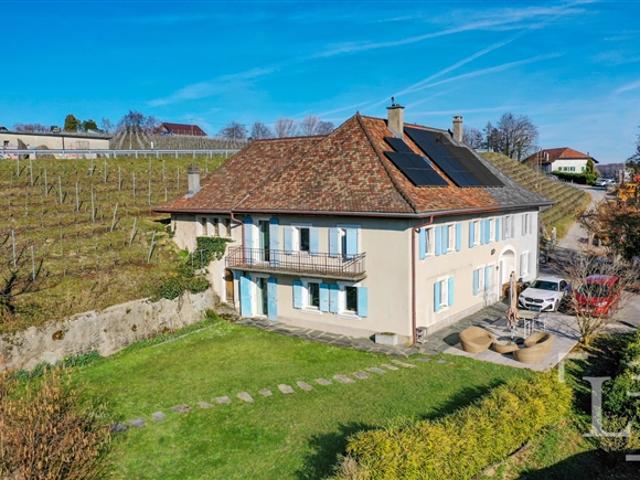 Herzstück! Grosszügige Villa mit Garten und freiem Blick