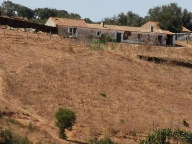 Herdade, montado, sobreiros cortiça, quinta, monte. | 26083008868