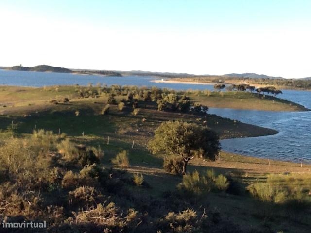Herdade Mouro 80,44 ha banhada pelas guas do Alqueva