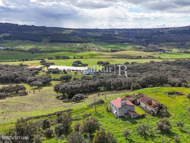 Herdade no Alentejo com 108 ha com aptido para Olival super intens.