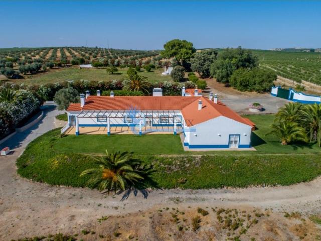 Herdade no Alentejo, com Aeródromo privado, Beja, Ferreira d. 790m² Ferreira do Alentejo e Canhestros