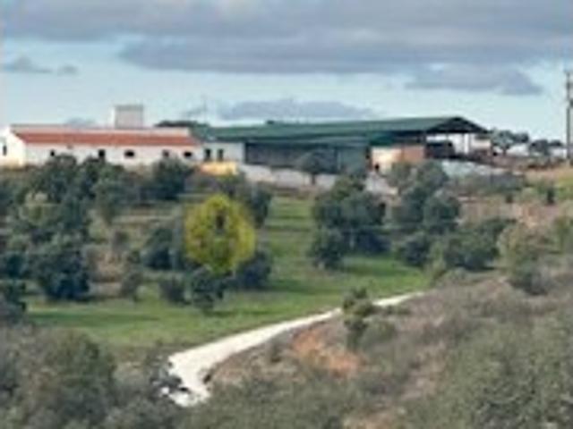 Herdade no Alentejo