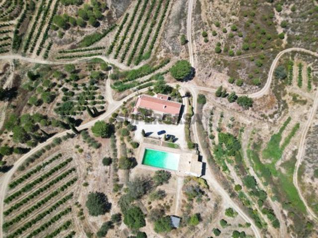 Herdade entre Silves e Monchique com 218 ha