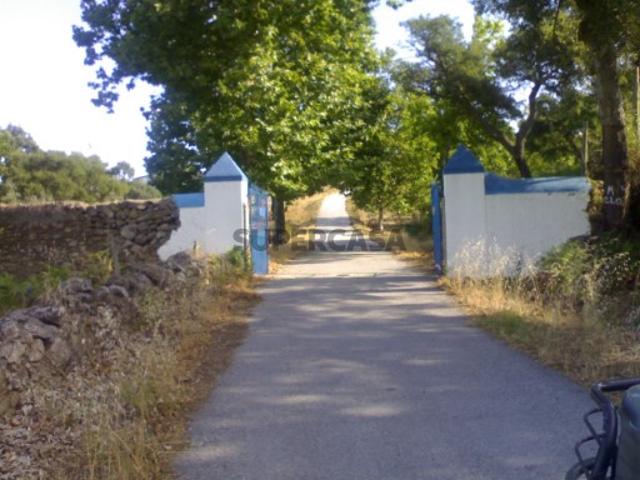 Herdade à venda em Portalegre