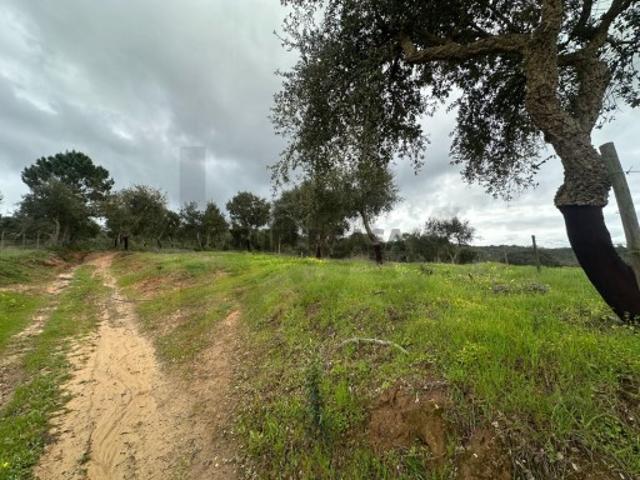 HERDADE COM 49,975 Hect UMA PÉROLA NO LITORAL ALENTEJANO