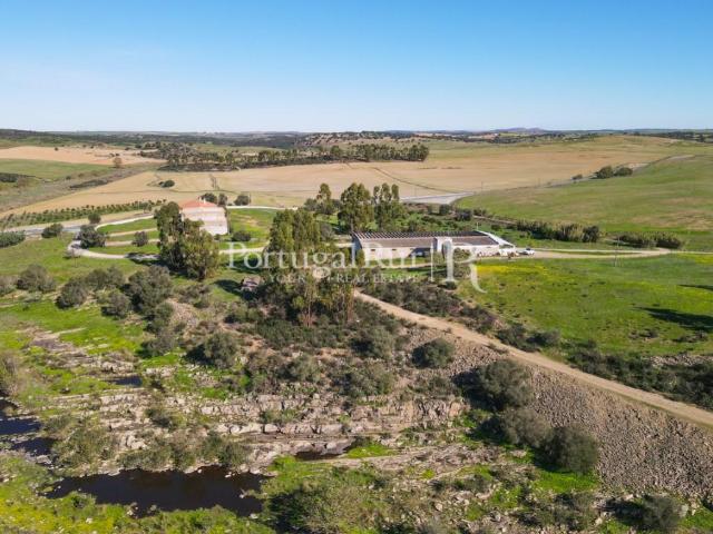 Herdade com 53 hectares em Castro Verde 778m² Castro Verde e Casével