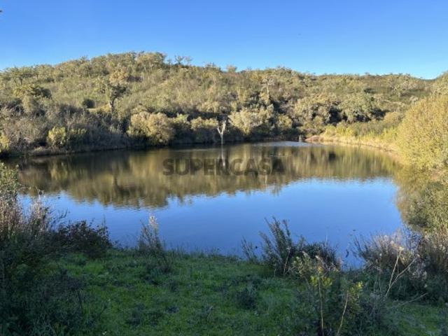Herdade com 500ha em Almodôvar