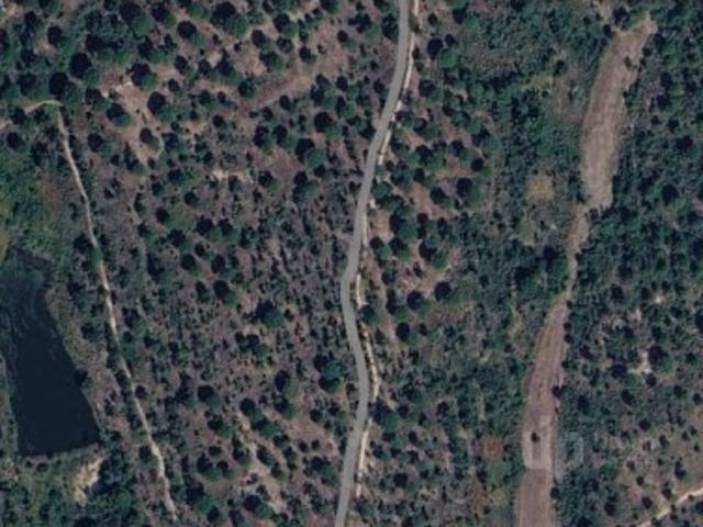 Herdade com 659 hectares para venda em Vendas Novas, Alentejo